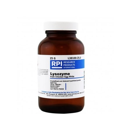 Rpi Lysozyme, 25 G L38100-25.0